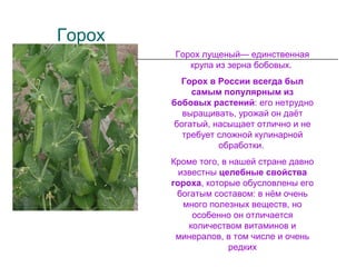 Горох
Горох лущеный— единственная
крупа из зерна бобовых.
Горох в России всегда был
самым популярным из
бобовых растений: его нетрудно
выращивать, урожай он даёт
богатый, насыщает отлично и не
требует сложной кулинарной
обработки.
Кроме того, в нашей стране давно
известны целебные свойства
гороха, которые обусловлены его
богатым составом: в нём очень
много полезных веществ, но
особенно он отличается
количеством витаминов и
минералов, в том числе и очень
редких
 