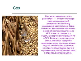 Соя
Сою часто называют «чудо-
растением» — отчасти благодаря
сравнительно высокой
урожайности и высокому
содержанию растительного белка
во многом аналогичном животному,
в среднем составляющего около
40% от массы семени, а у
отдельных сортов достигающего 48
—50%. В связи с этим соя часто
используется как недорогой
заменитель мяса, причем не только
людьми с небольшим достатком,
но и просто следующими диете с
ограниченным употреблением мяса
(например, вегетарианцами).
 
