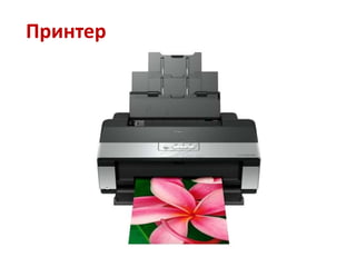 Принтер
 