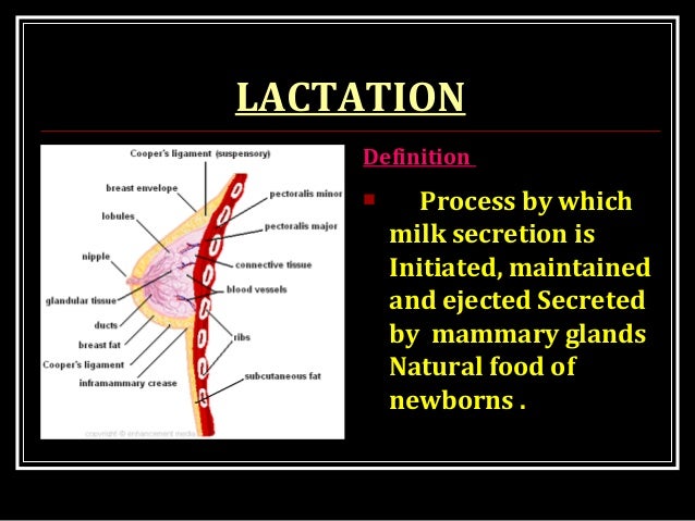 Placenta Parturition And Lactation Placenta Parturition And Lactation