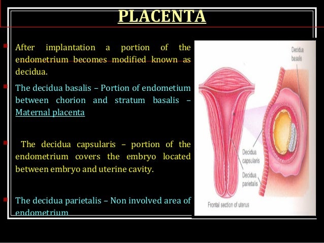 retained placental fragments lactation