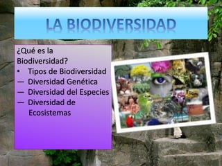¿Qué es la
Biodiversidad?
• Tipos de Biodiversidad
— Diversidad Genética
— Diversidad del Especies
— Diversidad de
Ecosistemas
 