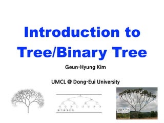 ?Sa @ea U CW
ME;D 8 U =aW M WbS W e
Introduction to
Tree/Binary Tree
 