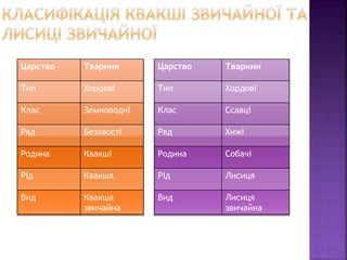 Царство Тварини
Тип Хордові
Клас Земноводні
Ряд Безхвості
Родина Квакші
Рід Квакша
Вид Квакша
звичайна
Царство Тварини
Тип Хордові
Клас Ссавці
Ряд Хижі
Родина Собачі
Рід Лисиця
Вид Лисиця
звичайна
 