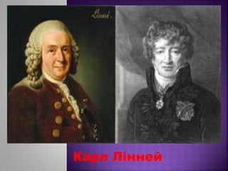 Карл Лінней
 