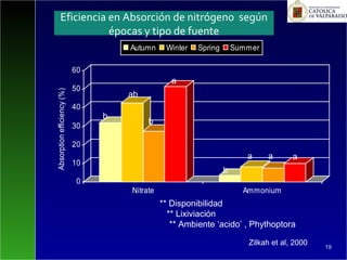 ** Disponibilidad
** Lixiviación
** Ambiente ‘acido’ , Phythoptora
19
0
10
20
30
40
50
60
Absorptionefficiency(%)
Nitrate Ammonium
Autumn Winter Spring Summer
b
ab
b
a
b
a a a
Eficiencia en Absorción de nitrógeno según
épocas y tipo de fuente
Zilkah et al, 2000
 