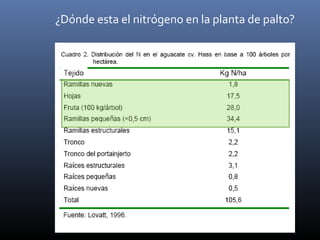 ¿Dónde esta el nitrógeno en la planta de palto?
 