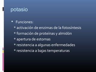 potasio
 Funciones:
* activación de enzimas de la fotosíntesis
* formación de proteínas y almidón
* apertura de estomas
* resistencia a algunas enfermedades
* resistencia a bajas temperaturas
 
