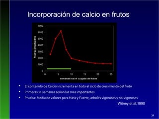Incorporación de calcio en frutos
 El contenido de Calcio incrementa en todo el ciclo de crecimiento del fruto
 Primeras 11 semanas serian las mas importantes
 Prueba: Media de valores para Hass y Fuerte, arboles vigorosos y no-vigorosos
Witney et al,1990
34
 