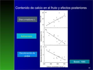 Contenido de calcio en el fruto y efectos posteriores
40
Bower, 1985
Dias a madurez c.
Antracnosis
Decoloración de
pulpa
 