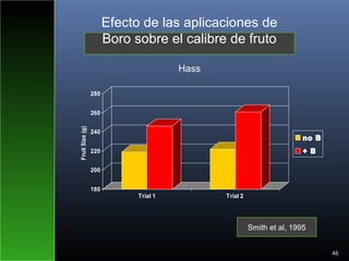 46
180
200
220
240
260
280
FruitSize(g)
Trial 1 Trial 2
no B
+ B
Smith et al, 1995
Efecto de las aplicaciones de
Boro sobre el calibre de fruto
Hass
 