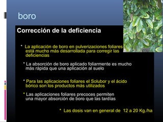 Corrección de la deficiencia
* La aplicación de boro en pulverizaciones foliares
está mucho más desarrollada para corregir las
deficiencias
* La absorción de boro aplicado foliarmente es mucho
más rápida que una aplicación al suelo
* Para las aplicaciones foliares el Solubor y el ácido
bórico son los productos más utilizados
* Las aplicaciones foliares precoces permiten
una mayor absorción de boro que las tardías
* Las dosis van en general de 12 a 20 Kg./ha
boro
 
