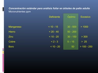 Concentración estándar para análisis foliar en árboles de palto adulto
Micronutrientes ppm
Deficiente Óptimo Excesivo
Manganeso < 10 - 15 30 - 500 > 1000
Hierro < 20 - 40 50 - 200
Zinc < 10 - 20 30 - 150 > 300
Cobre < 2 - 3 5 – 15 > 25
Boro < 10 - 20 50 > 100 - 250
 