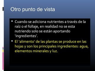 Otro punto de vista
 Cuando se adiciona nutrientes a través de la
raíz o el follaje, en realidad no se esta
nutriendo solo se están aportando
‘ingredientes’.
 El ‘alimento’ de las plantas se produce en las
hojas y son los principales ingredientes: agua,
elementos minerales y luz.
 