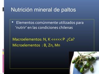 Nutrición mineral de paltos
 Elementos comúnmente utilizados para
‘nutrir’ en las condiciones chilenas
Macroelementos: N, K <<<<< P ¿Ca?
Microelementos : B, Zn, Mn
 