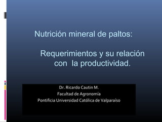 Nutrición mineral de paltos:
Requerimientos y su relación
con la productividad.
Dr. Ricardo Cautin M.
Facultad de Agronomía
Pontificia Universidad Católica de Valparaíso
 