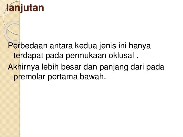 6. anatomi gigi premolar 1 & 2 bawah