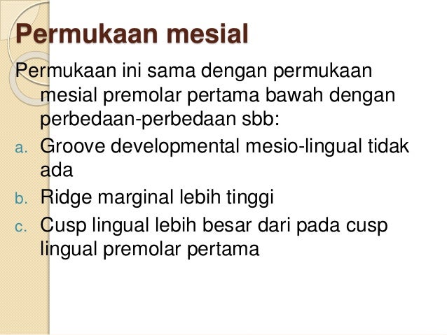 6. anatomi gigi premolar 1 & 2 bawah