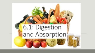 6.1: Digestion
and Absorption
 
