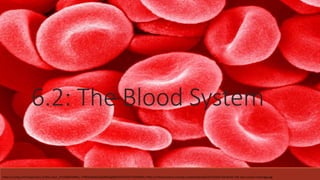 6.2: The Blood System
https://s.yimg.com/fz/api/res/1.2/2kG.LrAa1_1YmAd00EZMKw--/YXBwaWQ9c3JjaGRkO2g9NjY5O3E9OTU7dz05MDA-/http://criticalcaredvm.com/wp-content/uploads/2015/03/6-red-blood-cells-sem-susumu-nishinaga.jpg
 