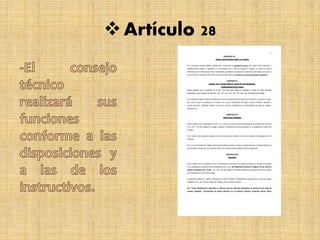 Artículo 28
 