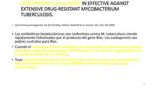 29
MEROPENEM-CLAVULANATO IN EFFECTIVE AGAINST
EXTENSIVE DRUG-RESISTANT MYCOBACTERIUM
TUBERCULOSIS.
• Jean-Emmanuel Hugonnet, lee W Tremblay, Helena I Boshoff et al. Sicence, Vol. 323, Feb 2009.
• Los antibióticos betalactámicos son inefectivos contra M. tuberculosis siendo
rápidamente hidrolizados por el producto del gene Blas. Los carbapenem son
pobres sustratos para Blas.
• Cuando el meropenem fue combinado con clavulanato se observó una potente
actividad contra M. tuberculosis. (CIM<1ug/ml) y se observó negativización de
los cultivos dentro de los 14 días.
• Tuvo actividad tanto con las micobacterias activas así como las persistentes y
inhibió el crecimiento de 13 cepas TBXDR al mismo nivel que las cepas
pansensibles.
 