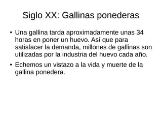 Siglo XX: Gallinas ponederas
● Una gallina tarda aproximadamente unas 34
horas en poner un huevo. Así que para
satisfacer la demanda, millones de gallinas son
utilizadas por la industria del huevo cada año.
● Echemos un vistazo a la vida y muerte de la
gallina ponedera.
 
