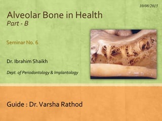 Alveolar Bone in Health
Part - B
Dr. Ibrahim Shaikh
Dept. of Periodontology & Implantology
Seminar No. 6
10/08/2015
Guide : Dr.Varsha Rathod
 