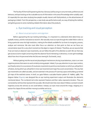 Eye Tracking & Visual Marketing - A Study of the Vietnamese Beer Market ...