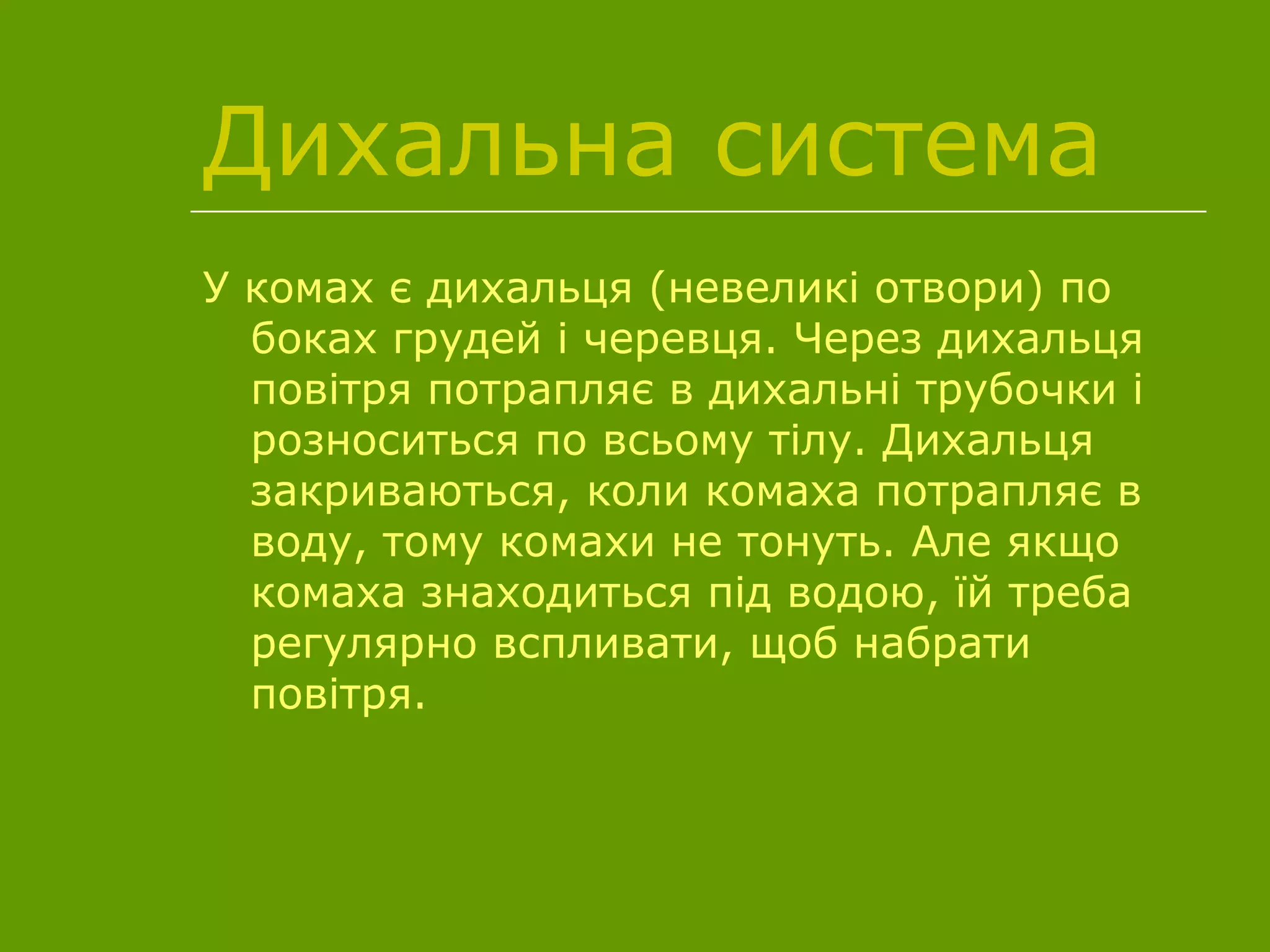 Дихальна система
У комах є дихальця (невеликі отвори) по
боках грудей і черевця. Через дихальця
повітря потрапляє в дихальні трубочки і
розноситься по всьому тілу. Дихальця
закриваються, коли комаха потрапляє в
воду, тому комахи не тонуть. Але якщо
комаха знаходиться під водою, їй треба
регулярно вспливати, щоб набрати
повітря.
 