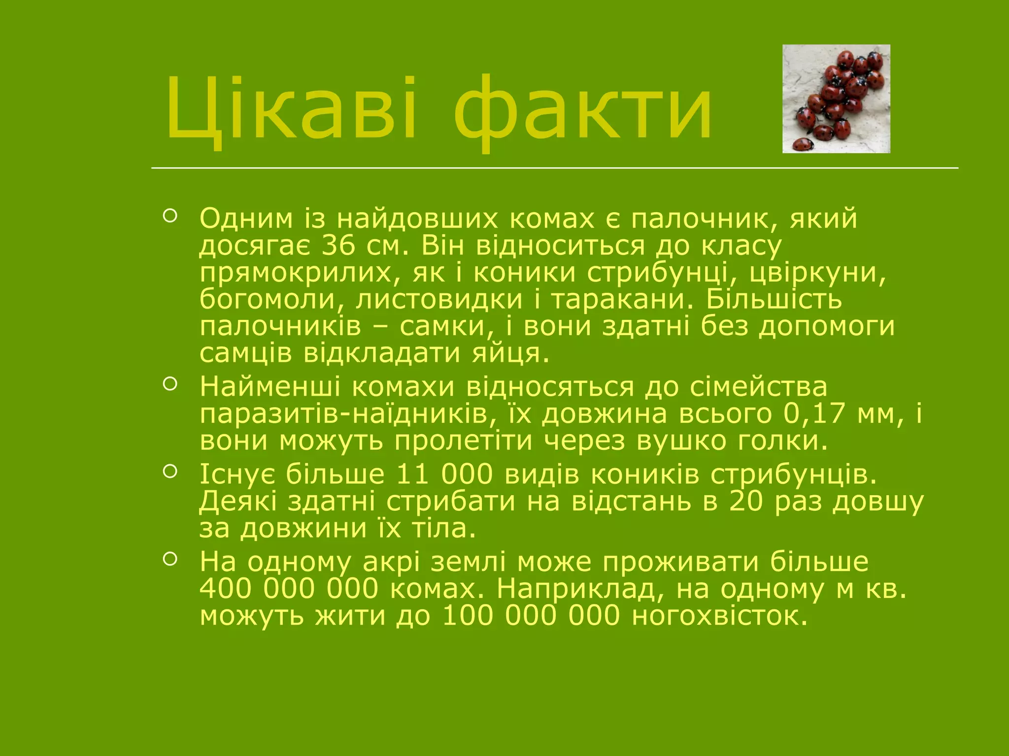 Цікаві факти
 Одним із найдовших комах є палочник, який
досягає 36 см. Він відноситься до класу
прямокрилих, як і коники стрибунці, цвіркуни,
богомоли, листовидки і таракани. Більшість
палочників – самки, і вони здатні без допомоги
самців відкладати яйця.
 Найменші комахи відносяться до сімейства
паразитів-наїдників, їх довжина всього 0,17 мм, і
вони можуть пролетіти через вушко голки.
 Існує більше 11 000 видів коників стрибунців.
Деякі здатні стрибати на відстань в 20 раз довшу
за довжини їх тіла.
 На одному акрі землі може проживати більше
400 000 000 комах. Наприклад, на одному м кв.
можуть жити до 100 000 000 ногохвісток.
 
