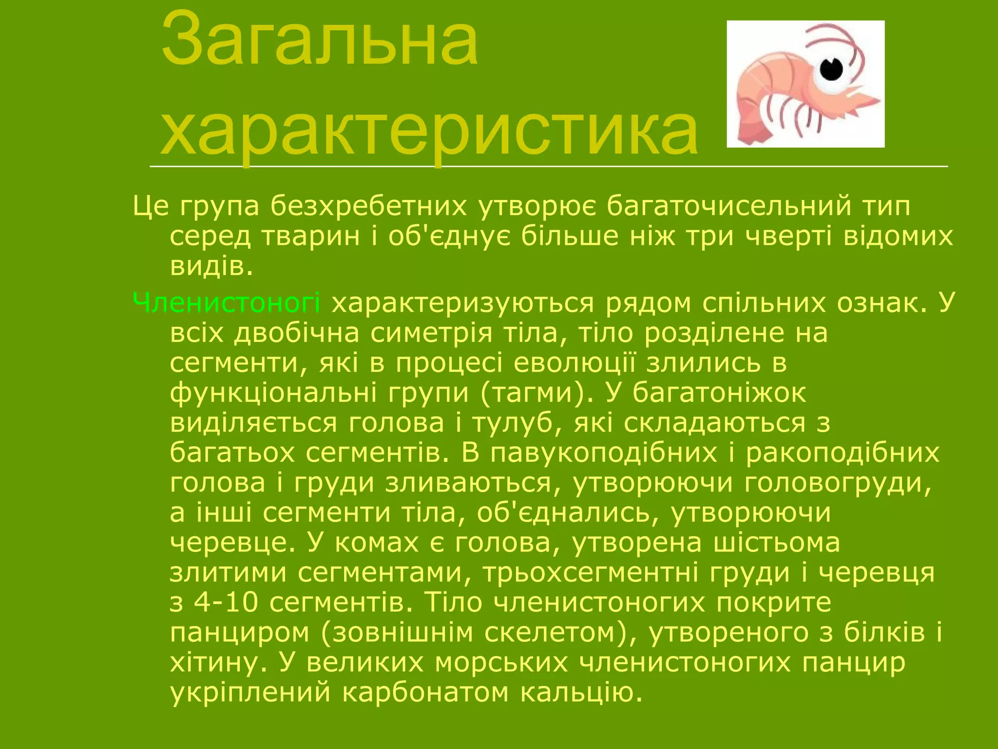 Загальна
характеристика
Це група безхребетних утворює багаточисельний тип
серед тварин і об'єднує більше ніж три чверті відомих
видів.
Членистоногі характеризуються рядом спільних ознак. У
всіх двобічна симетрія тіла, тіло розділене на
сегменти, які в процесі еволюції злились в
функціональні групи (тагми). У багатоніжок
виділяється голова і тулуб, які складаються з
багатьох сегментів. В павукоподібних і ракоподібних
голова і груди зливаються, утворюючи головогруди,
а інші сегменти тіла, об'єднались, утворюючи
черевце. У комах є голова, утворена шістьома
злитими сегментами, трьохсегментні груди і черевця
з 4-10 сегментів. Тіло членистоногих покрите
панциром (зовнішнім скелетом), утвореного з білків і
хітину. У великих морських членистоногих панцир
укріплений карбонатом кальцію.
 