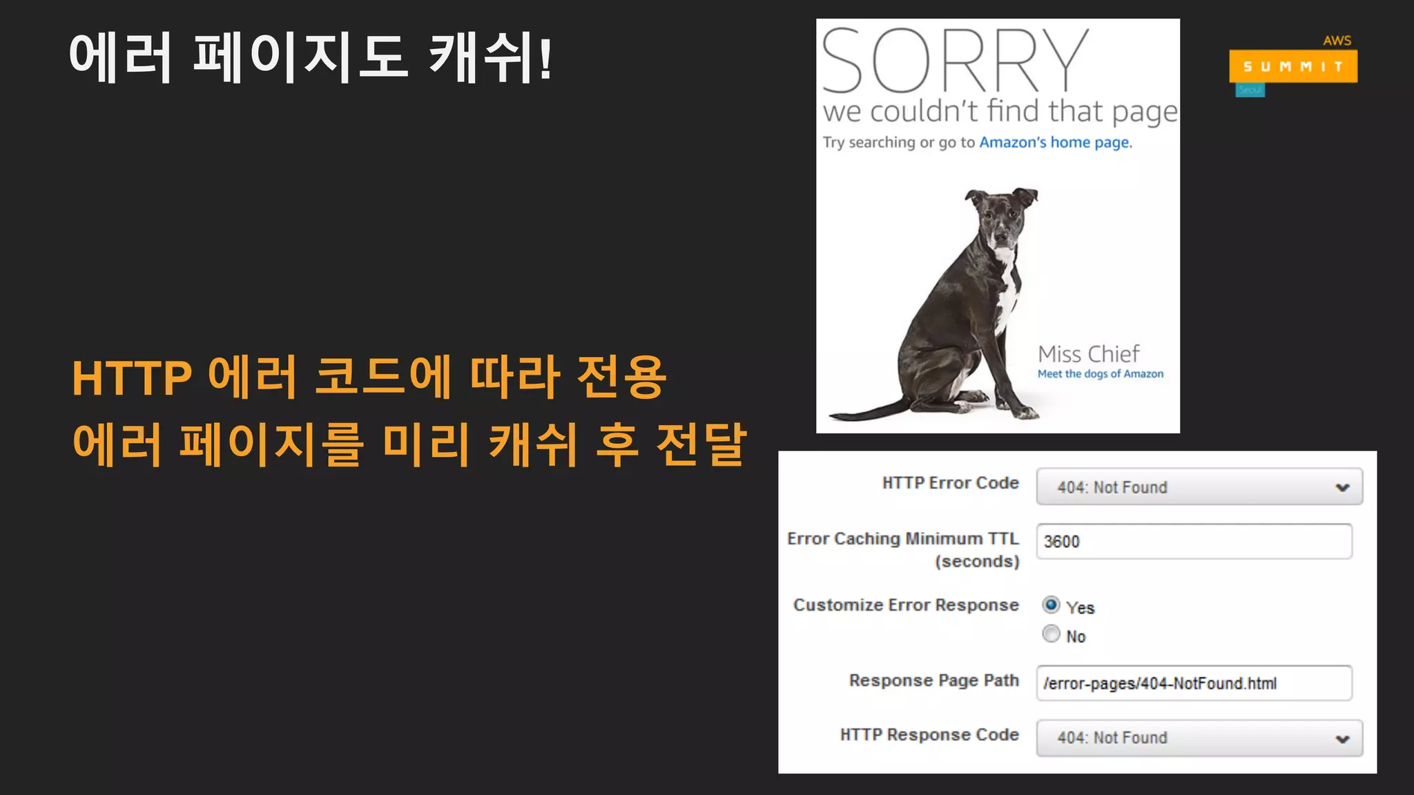 에러 페이지도 캐쉬!
HTTP 에러 코드에 따라 전용
에러 페이지를 미리 캐쉬 후 전달
 