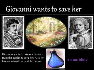 Giovanni wants to take out Beatrice
from the garden to save her. Also he
has an antidote to treat the poison. An antidote
 