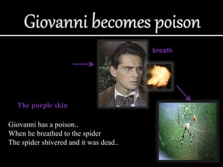 Giovanni has a poison..
When he breathed to the spider
The spider shivered and it was dead..
The purple skin
breath
 
