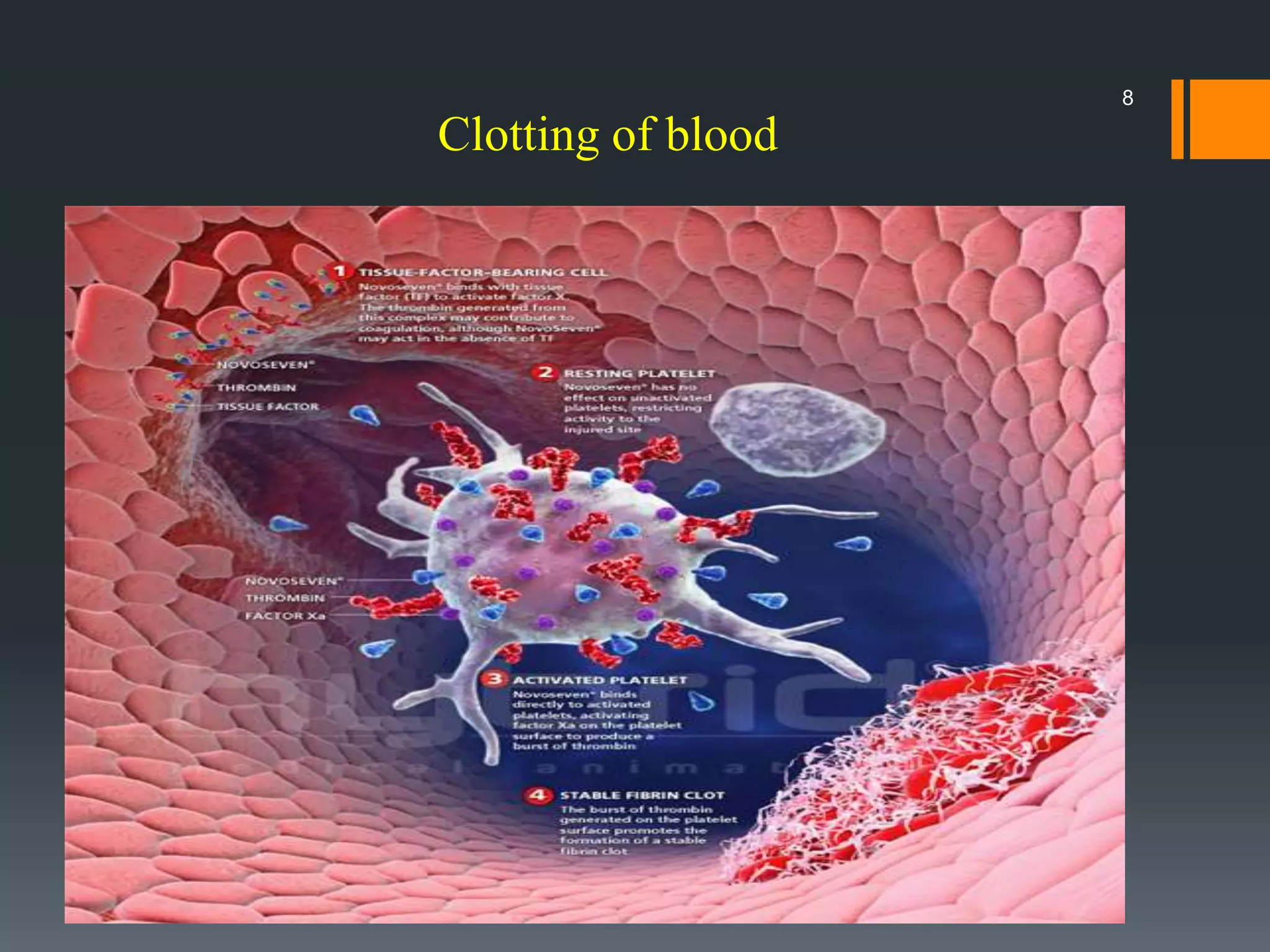 Clotting of blood
8
 