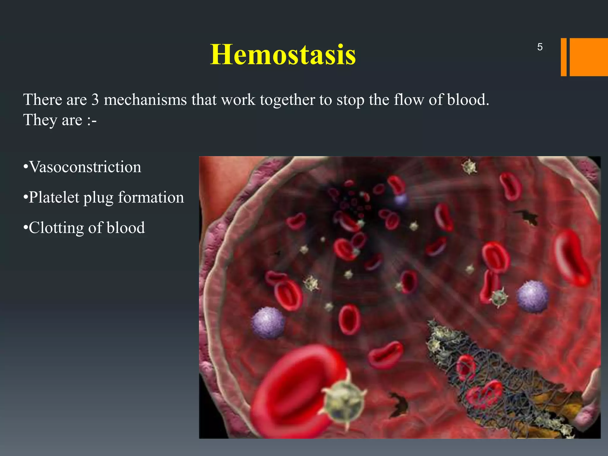 6.hemostasis