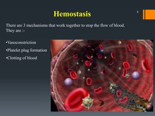 There are 3 mechanisms that work together to stop the flow of blood.
They are :-
•Vasoconstriction
•Platelet plug formation
•Clotting of blood
Hemostasis 5
 