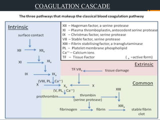 COAGULATION CASCADE
9
 