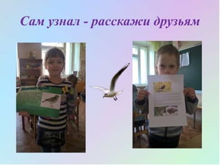 Сам узнал - расскажи друзьям
 