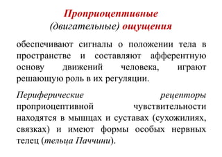 Проприоцептивные
(двигательные) ощущения
обеспечивают сигналы о положении тела в
пространстве и составляют афферентную
основу движений человека, играют
решающую роль в их регуляции.
Периферические рецепторы
проприоцептивной чувствительности
находятся в мышцах и суставах (сухожилиях,
связках) и имеют формы особых нервных
телец (тельца Паччини).
 