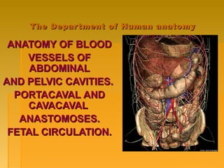 The Department of Human anatomyThe Department of Human anatomy
ANATOMY OF BLOODANATOMY OF BLOOD
VESSELS OFVESSELS OF
ABDOMINALABDOMINAL
AND PELVIC CAVITIES.AND PELVIC CAVITIES.
PORTACAVALPORTACAVAL ANDAND
CAVACAVACAVALCAVAL
AANASTOMOSESNASTOMOSES..
FETAL CIRCULATION.FETAL CIRCULATION.
 