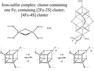 Biological Oxidation (Electron Transport Chain) | PPTX