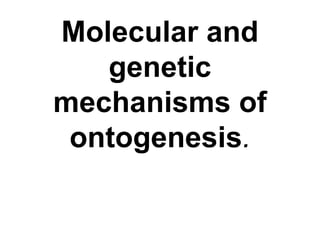 Molecular and
genetic
mechanisms of
ontogenesis.
 
