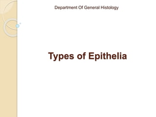 Types of Epithelia
Department Of General Histology
 