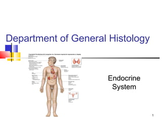 1
Department of General Histology
Endocrine
System
 
