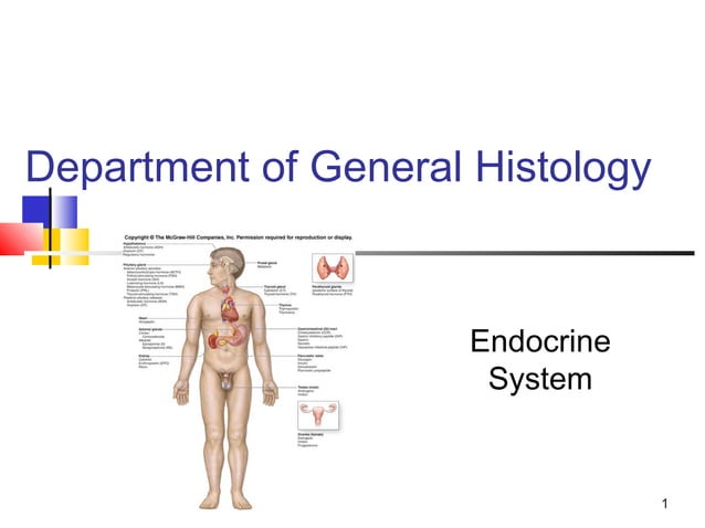 Histology of Endocrine system | PPT