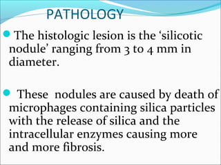 PATHOLOGY
The histologic lesion is the ‘silicotic 
nodule’ ranging from 3 to 4 mm in 
diameter.
 These  nodules are caused by death of 
microphages containing silica particles 
with the release of silica and the 
intracellular enzymes causing more 
and more fibrosis.
 