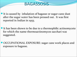BAGASSOSIS
It is caused by inhalation of bagasse or sugar-cane dust
after the sugar water has been pressed out. It was first
reported in Indian in 1955.
It has been shown to be due to a thermophilic actinomycete
for which the name thermoactinomyces sacchari was
suggested.
OCCUPATIONAL EXPOSURE: sugar cane work places and
exposure to bagasse.
 
