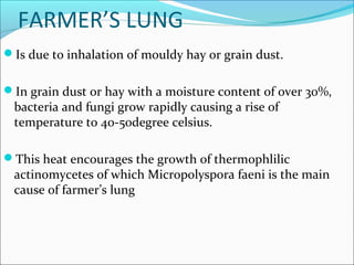 FARMER’S LUNG
Is due to inhalation of mouldy hay or grain dust.
In grain dust or hay with a moisture content of over 30%,
bacteria and fungi grow rapidly causing a rise of
temperature to 40-50degree celsius.
This heat encourages the growth of thermophlilic
actinomycetes of which Micropolyspora faeni is the main
cause of farmer’s lung
 
